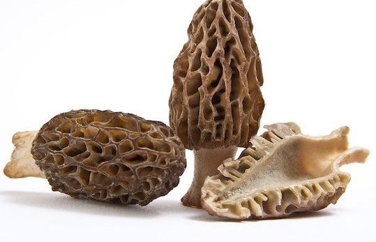 羊肚菌有毒嗎？羊肚菌可以人工種植嗎？