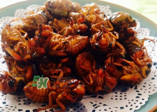 知了和蝦能一起吃嗎？知了猴能和蝦一起吃嗎？