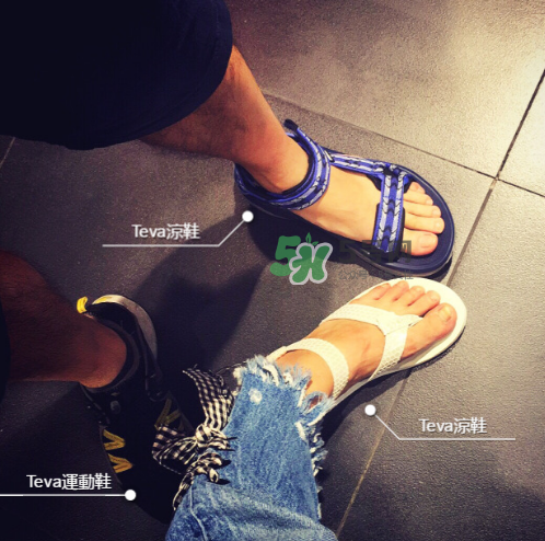 teva是什么牌子_哪個(gè)國(guó)家的_什么檔次？