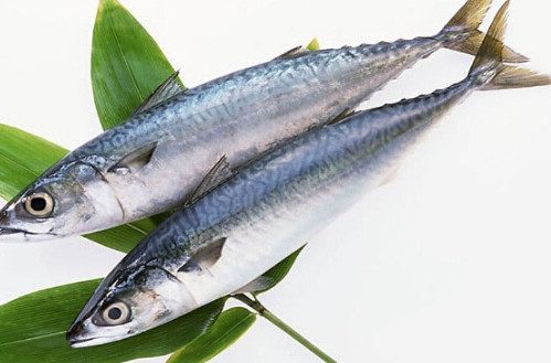 鳡魚吃什么？翹嘴魚和鳡魚有什么區(qū)別