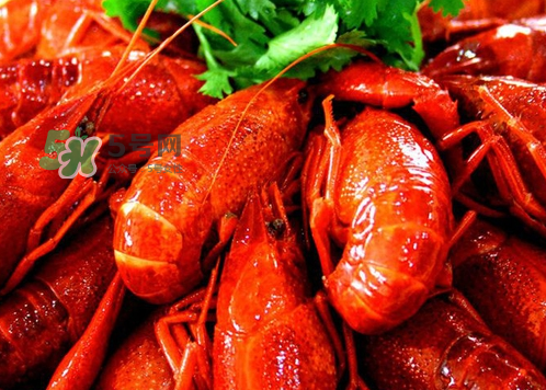 孕婦能吃麻辣小龍蝦嗎？吃麻辣小龍蝦會(huì)流產(chǎn)嗎？