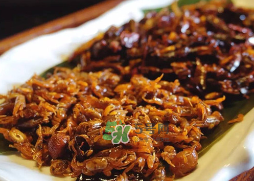 知了猴可以帶上飛機(jī)嗎？知了猴能帶上飛機(jī)嗎？