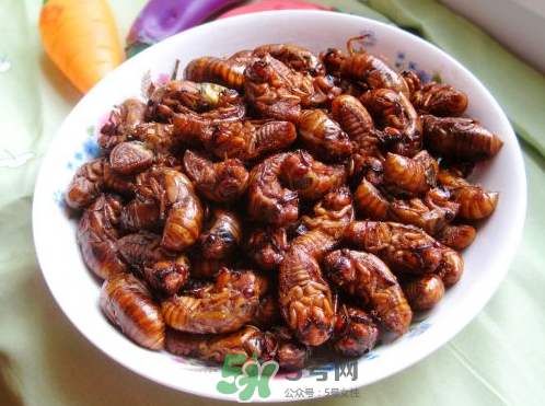 知了猴可以帶上飛機(jī)嗎？知了猴能帶上飛機(jī)嗎？