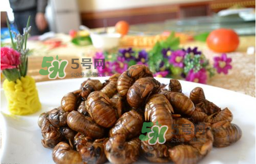 知了猴什么味道？知了猴好吃嗎？