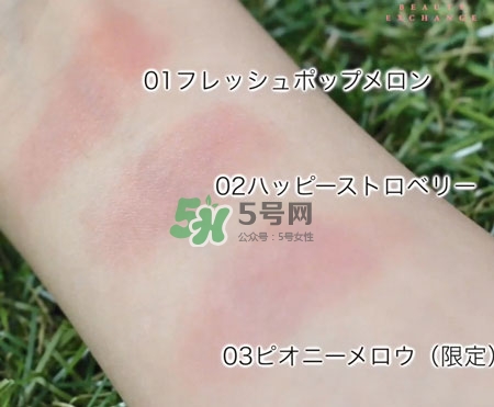 canmake貝殼腮紅膏色號(hào)_canmake貝殼腮紅膏試色圖 canmake貝殼腮紅膏色號(hào)_canmake貝殼腮紅膏試色圖