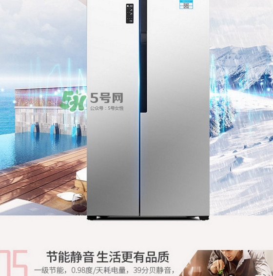 冰箱究竟該買幾個(gè)門的？什么牌子的冰箱最好