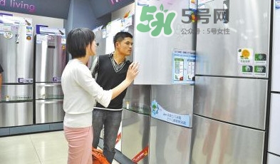 冰箱究竟該買幾個(gè)門的？什么牌子的冰箱最好