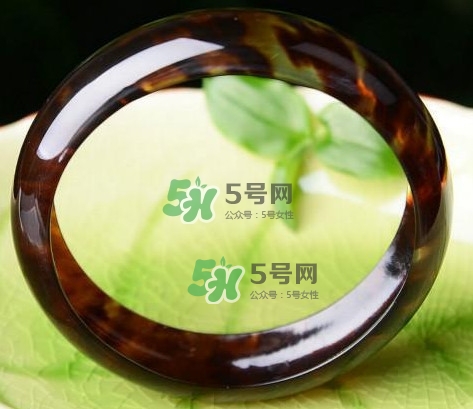 玳瑁是什么？玳瑁是國家保護動物嗎？