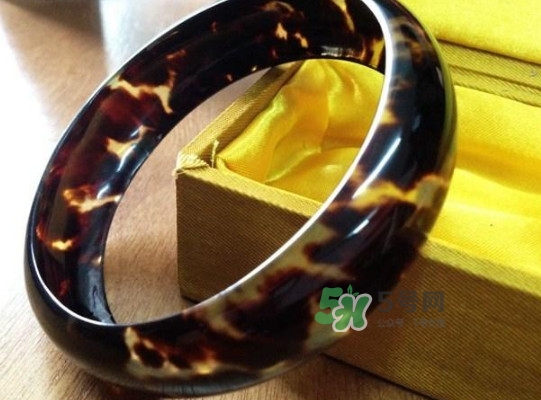 玳瑁標本有收藏價值嗎？玳瑁的功效與作用