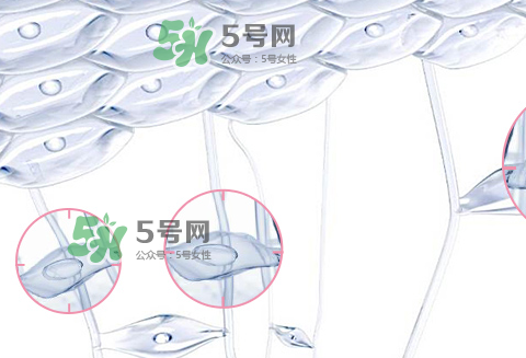 嬌韻詩(shī)青春賦活兩件套裝多少錢(qián)？嬌韻詩(shī)全新青春賦活系列怎么樣？