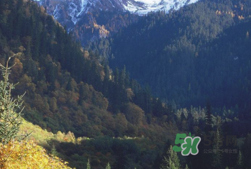 8月份去九寨溝人多嗎？8月份去九寨溝熱嗎？