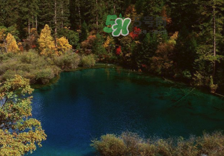 8月份去九寨溝人多嗎？8月份去九寨溝熱嗎？