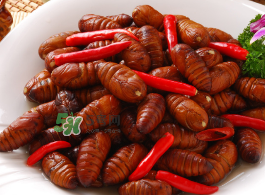 蠶蛹多少錢一斤？蠶蛹多少錢一斤2017？