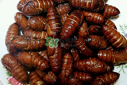 蠶蛹多少錢一斤？蠶蛹多少錢一斤2017？