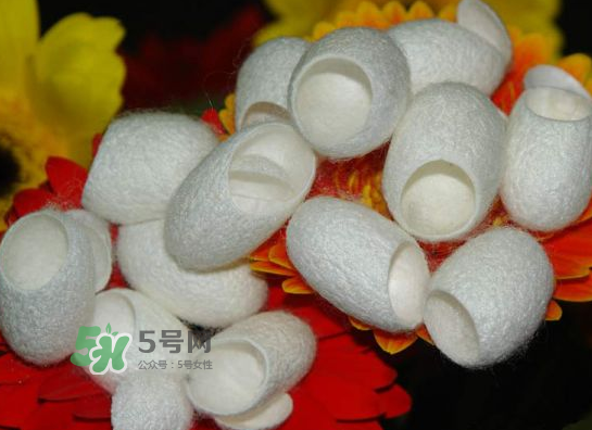 蠶繭多少錢一斤2017？2017年蠶繭價格是多少？