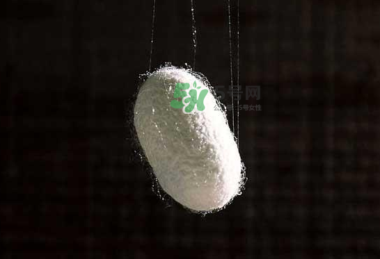 蠶繭多少錢一斤2017？2017年蠶繭價格是多少？