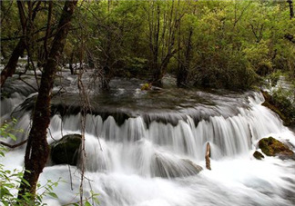 8月份去九寨溝人多嗎？8月份去九寨溝熱嗎？