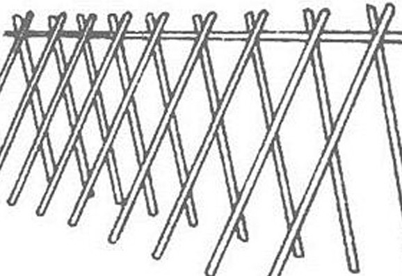 缸豆幾月份種？缸豆什么時候播種？