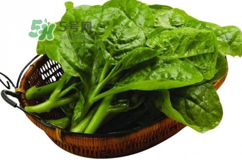 木耳菜怎么做好吃？木耳菜怎么吃