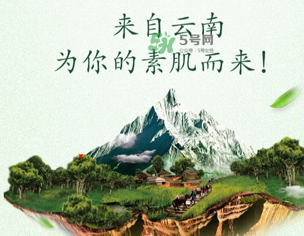 采之汲是什么牌子？采之汲是什么檔次？