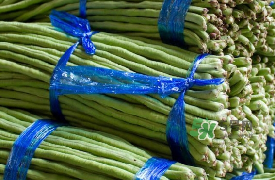 怎樣曬長(zhǎng)缸豆？新鮮缸豆怎么保存