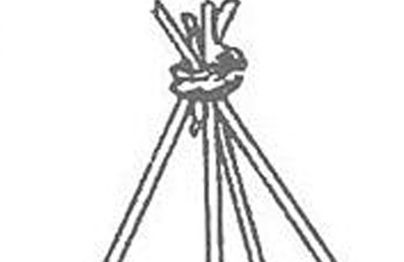 缸豆幾月份種？缸豆什么時候播種？