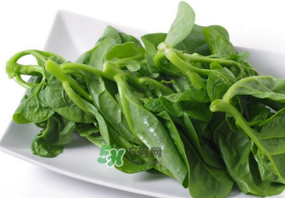 木耳菜怎么做好吃？木耳菜怎么吃