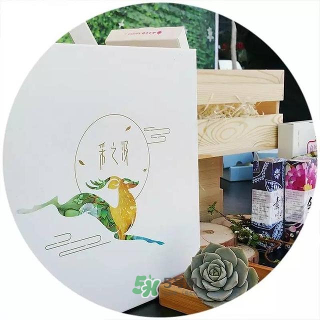 采之汲是什么牌子？采之汲是什么檔次？