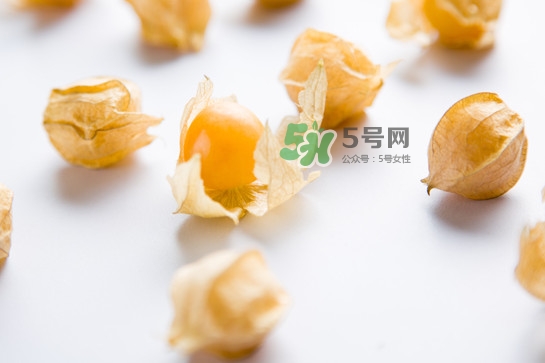 菇娘是寒性還是熱性？菇娘是哪里產(chǎn)的