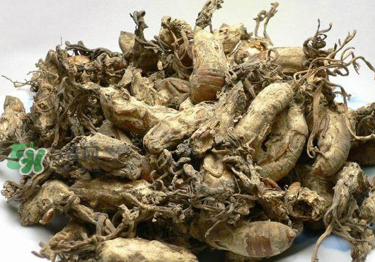 知了花多少錢(qián)一斤？野生知了花多少錢(qián)一斤2017？