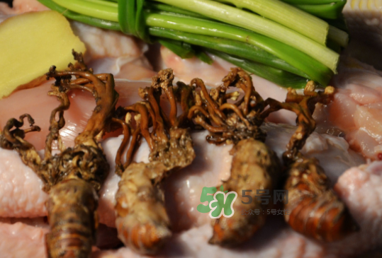 知了花多少錢(qián)一斤？野生知了花多少錢(qián)一斤2017？