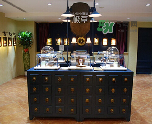 極草5x為什么不讓賣了？極草5x冬蟲夏草騙局