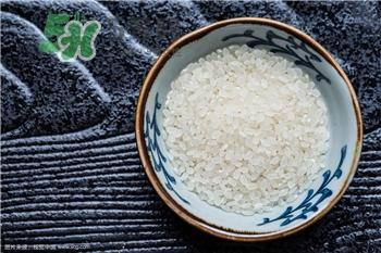 生蟲的大米可以吃嗎?如何防止大米長蟲? 生蟲的大米可以吃嗎?如何防止大米長蟲?