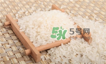 生蟲的大米可以吃嗎?如何防止大米長蟲? 生蟲的大米可以吃嗎?如何防止大米長蟲?