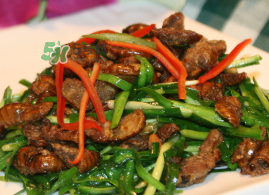 金蟬不能和什么一起吃？金蟬哪些人不能吃？