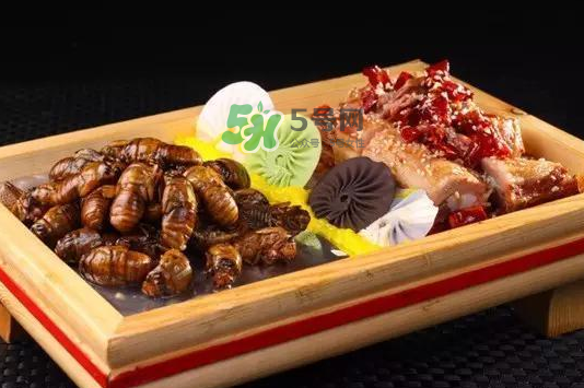 金蟬不能和什么一起吃？金蟬哪些人不能吃？