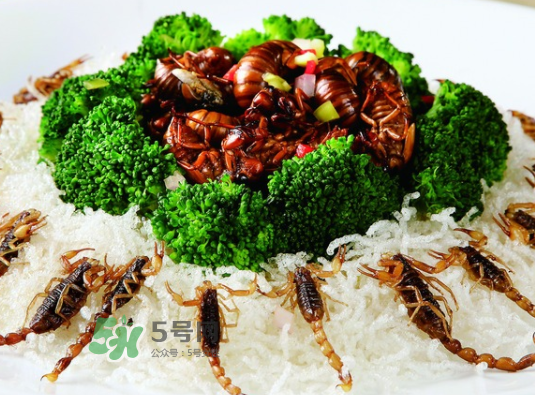 金蟬不能和什么一起吃？金蟬哪些人不能吃？