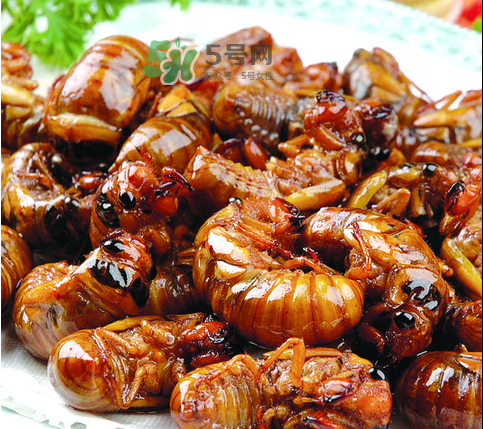 ?知了哪個部位可以吃？?知了哪個部位不能吃？