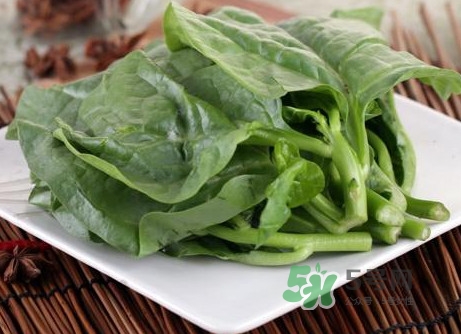 木耳菜和什么食物相克？木耳菜不能和什么一起吃