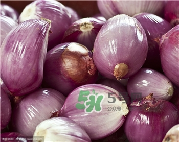 為什么吃洋蔥能減肥?吃洋蔥減肥原理 為什么吃洋蔥能減肥?吃洋蔥減肥原理