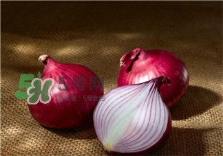 為什么吃洋蔥能減肥?吃洋蔥減肥原理 為什么吃洋蔥能減肥?吃洋蔥減肥原理