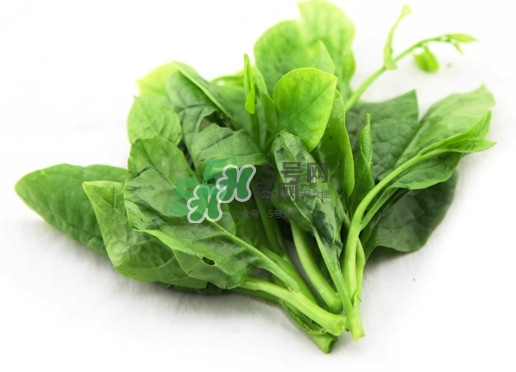 木耳菜怎么清洗？木耳菜怎么擇？