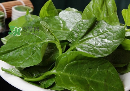 木耳菜可以生吃嗎？木耳菜可以涼拌嗎