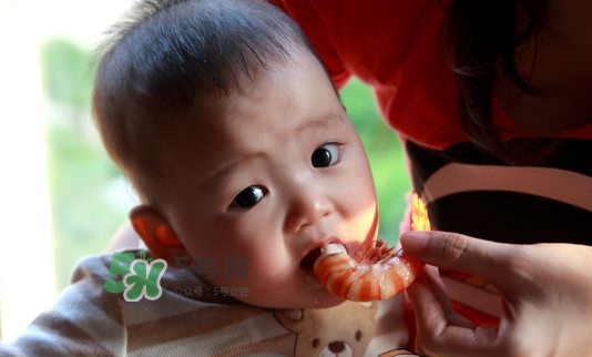 寶寶吃蝦不能和什么一起吃？寶寶吃蝦的注意事項