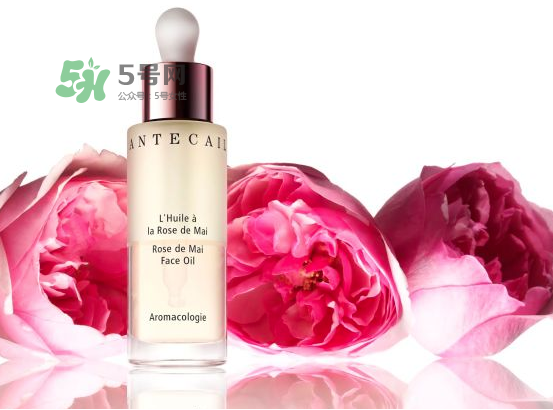 香緹卡是什么牌子？香緹卡屬于什么檔次？