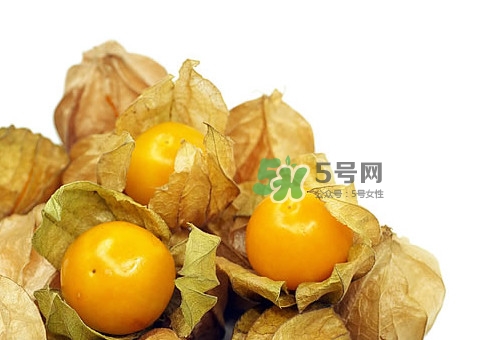 姑娘果怎么挑選？姑娘果產(chǎn)地在什么地方