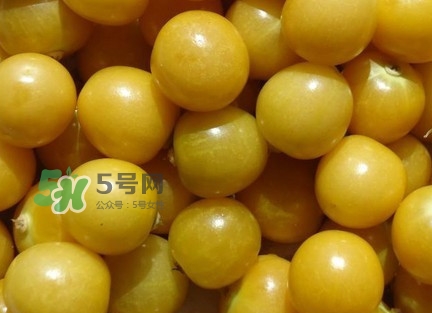 姑娘果有什么好處？姑娘果有什么功效