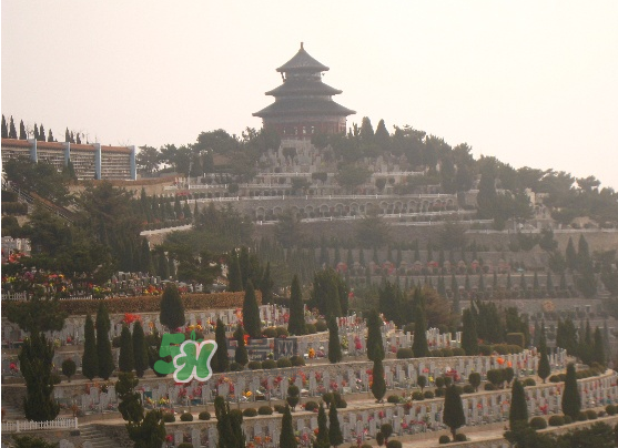 閏六月能上墳嗎？2017年閏月能遷墳嗎？