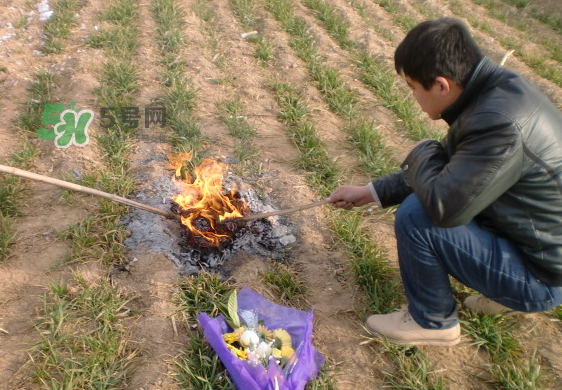 閏六月能上墳嗎？2017年閏月能遷墳嗎？