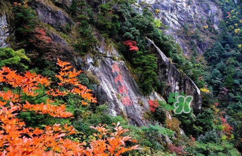 9月份去浙江穿什么？九月份去浙江穿什么衣服